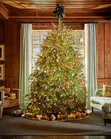 Christmas Trees and Decorations - 2