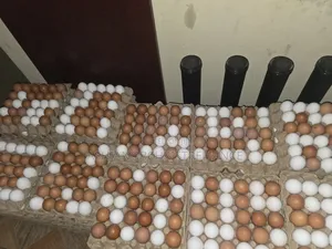 Fresh Farm Eggs - 30 Count