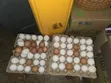 Fresh Farm Eggs - 30 Count - 3