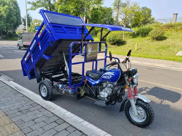 Brand New Storm Prince Tricycle 150cc - Blue - 1