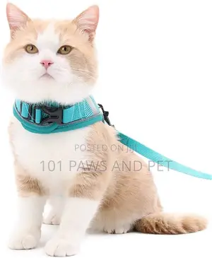 Adjustable Cat and Dog Harness with Breathable Mesh