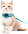 Adjustable Cat and Dog Harness with Breathable Mesh - 1