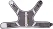 Adjustable Cat and Dog Harness with Breathable Mesh - 3