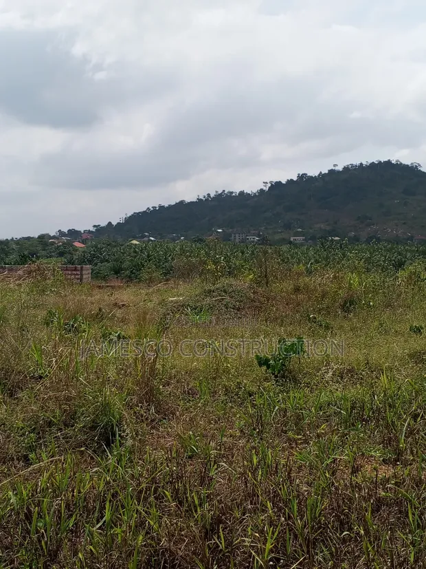 60 Acres Residential Land for Sale at Nsawam Oparekrom - 1