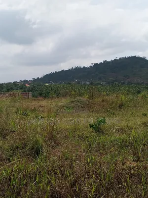 60 Acres Residential Land for Sale at Nsawam Oparekrom