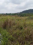 60 Acres Residential Land for Sale at Nsawam Oparekrom - 2