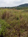 60 Acres Residential Land for Sale at Nsawam Oparekrom - 3