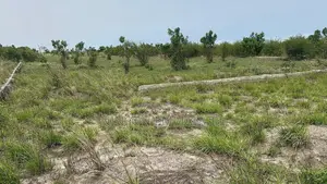 6 Plots Together - Dawhenya-Tsopoli Road - 4 Mins to Central University