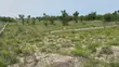 6 Plots Together - Dawhenya-Tsopoli Road - 4 Mins to Central University - 1