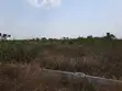 6 Plots Together - Dawhenya-Tsopoli Road - 4 Mins to Central University - 2