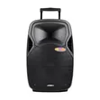 Jerry D15 Professional Karaoke Speaker - 1