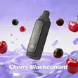 Artery CL2 Cherry Blackcurrant 10000 Puff Vape - 2