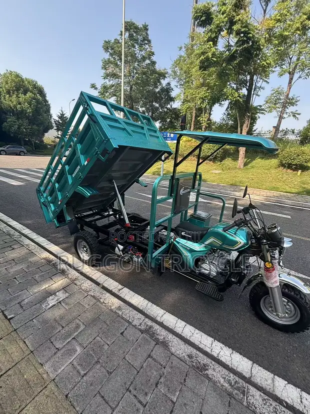 Brand New Storm Prince Tricycle 175cc - Green - 1