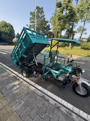 Brand New Storm Prince Tricycle 175cc - Green