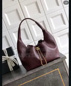 Chanel 25 Small Hobo Bag