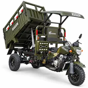 Brand New 200cc Cargo Tricycle - Green