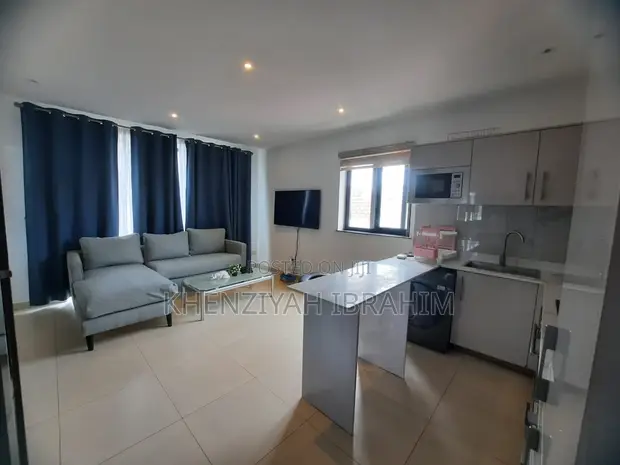 Furnished 1-Bedroom Apartment for Rent in Labone - 1
