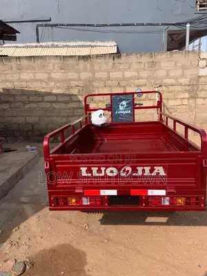 New Luojia LJ900 Three-Wheeler (2026)