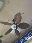 Ceiling Fan with Light - 5