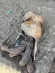Kia Rio Catalytic Converter - 5