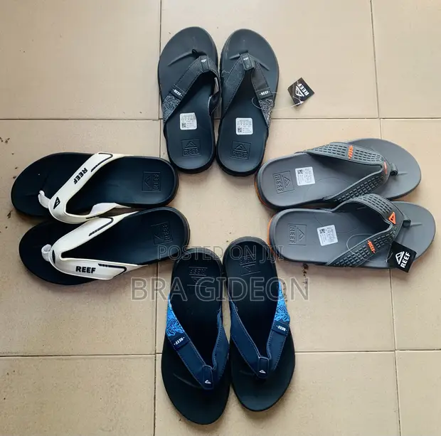 Reef Slides - 1