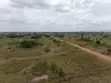 Acres of Land for Sale at Ayikuma, Near Dodowa - 4