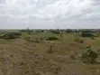 Acres of Land for Sale at Ayikuma, Near Dodowa - 5