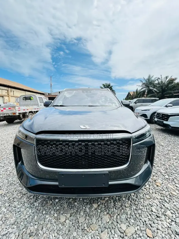 Dongfeng EV EX1 33 kW FWD 2023 Gray - 1