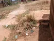 Half Plot of Land for Sale at Oyibi - 1