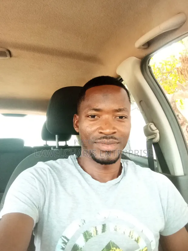 Experienced Personal Driver - 1