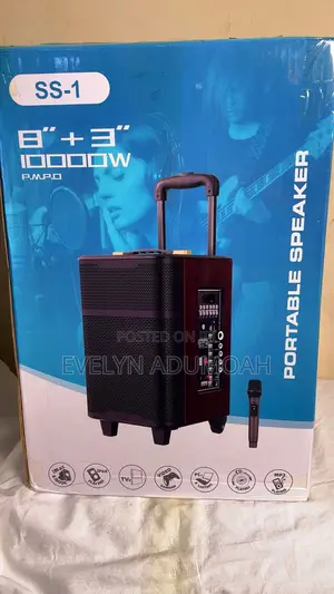 1000W Portable Speaker with Wireless Microphone - SS-1