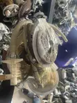 Chrysler 300 Fuel Pump and Filter - 2