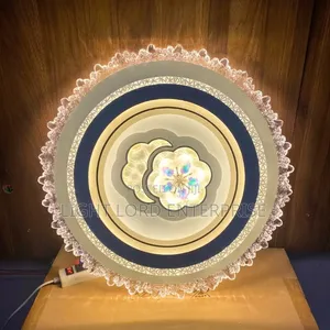 Unisex Controllable Ceiling Light with Remote