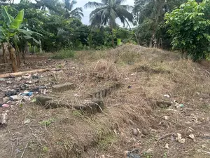 Half Plot 50x50 at Nkawkaw Kumasi Road