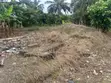 Half Plot 50x50 at Nkawkaw Kumasi Road - 1