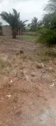 2 Plots of Land for Sale, Awutu Senya East Municipal - 2