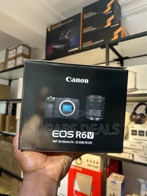 Canon EOS R6 Mirrorless Camera with 24-105mm f/4 Lens