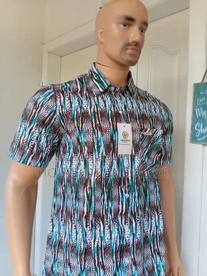 Elegant Woodin Men's Shirt