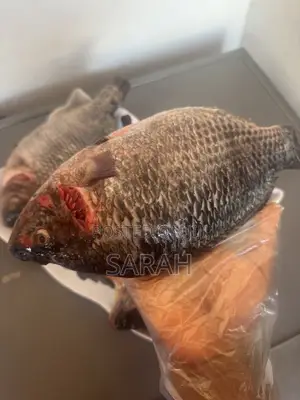 Fresh Tilapia Available - All Sizes