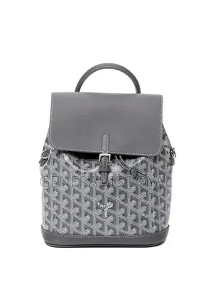 Goyard Alpin MM Backpack in Black