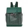 Goyard Alpin MM Backpack in Black - 3