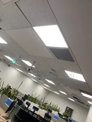 Professional Ceiling Installation - Gypsum Board
