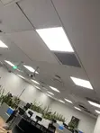 Professional Ceiling Installation - Gypsum Board - 1