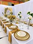 Folding Napkins for Table Setup/Events (10pc Pack) - 1