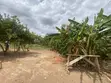 Residential Land for Sale - Adenta, Frafraha - 3