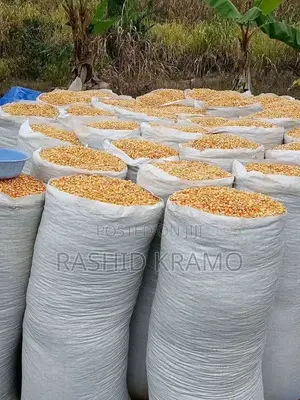 Food Stuffs: Ginger, Beans, Maize, Groundnut & Grains