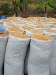 Food Stuffs: Ginger, Beans, Maize, Groundnut & Grains - 1