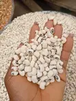 Food Stuffs: Ginger, Beans, Maize, Groundnut & Grains - 2