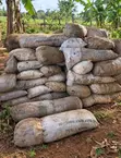 Food Stuffs: Ginger, Beans, Maize, Groundnut & Grains - 5