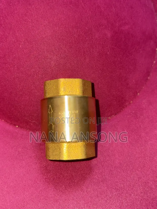 Brand New 3/4" Non-Return Valve - 1